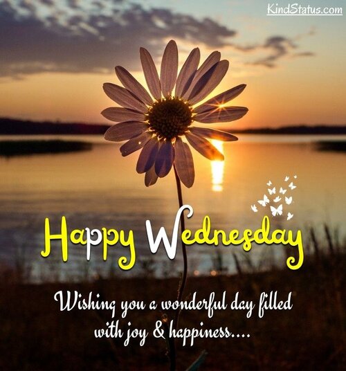 happy-wednesday.jpg