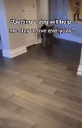 MrGSmokeFree Love my dogs.gif