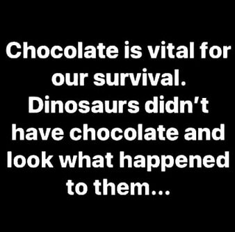 Chocolate is vital.jpg