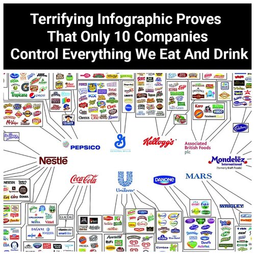 Only 10 companies control.jpg