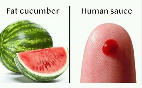 Fat cucumber.jpg