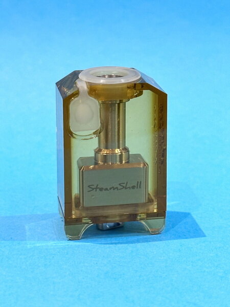 Steam Shell 004.jpg