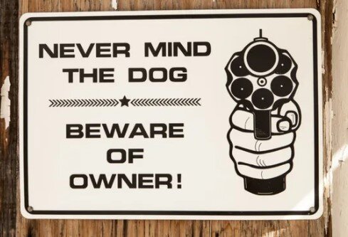 Never mind the dog.jpg