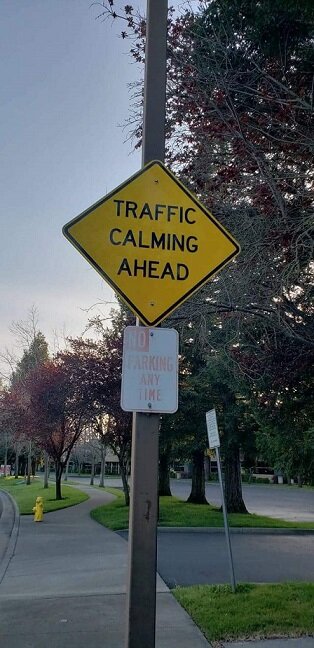 Traffic Calming Ahead_Speed Bumps.jpg