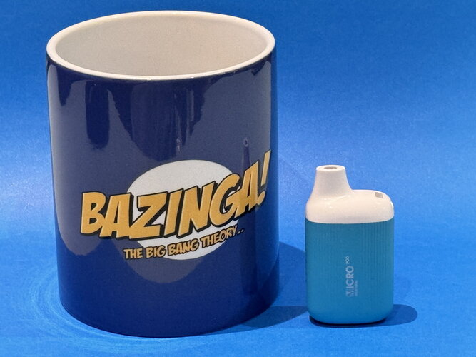 Bazinga Mug.JPG