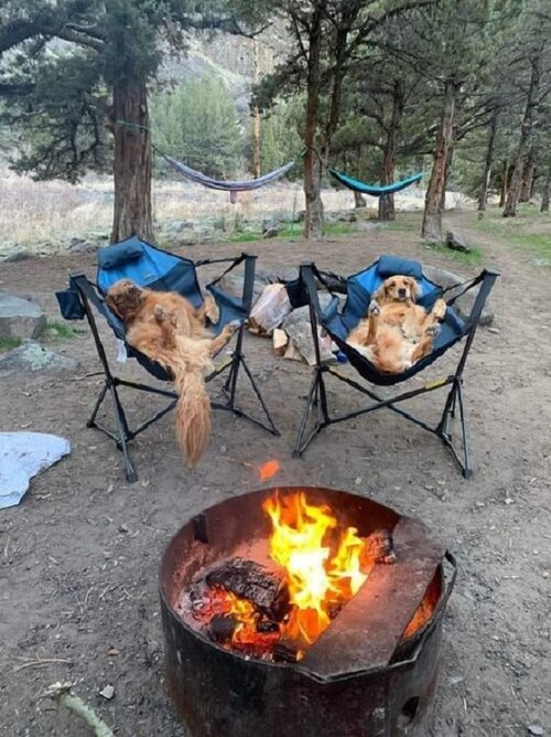 Caption Camping.jpg