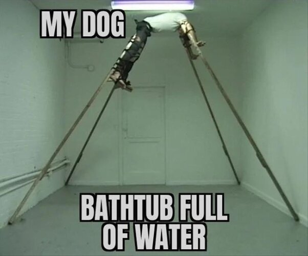 Ghghfhggf.jpg
