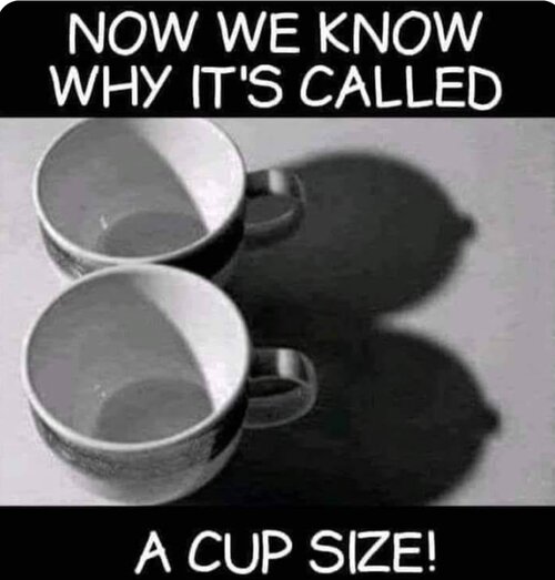 1703423615526.jpg