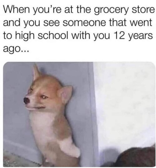 1703473282836.jpg