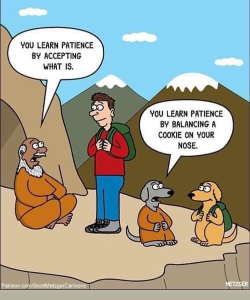421899955_89942546530960.jpg