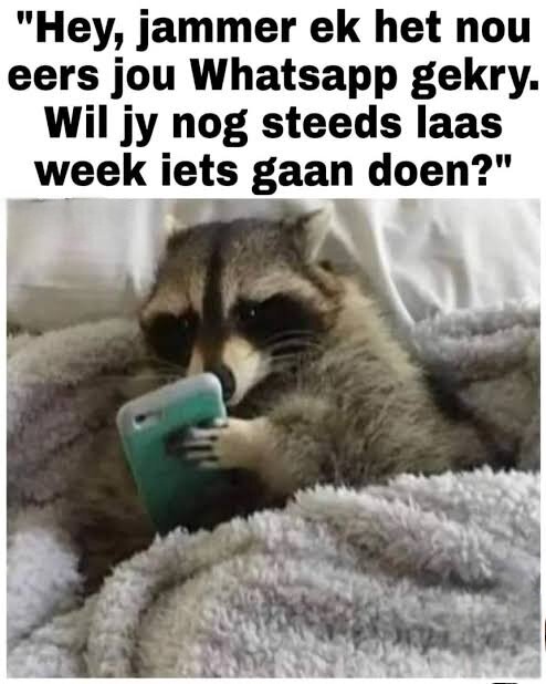 images.jpeg-9.jpg