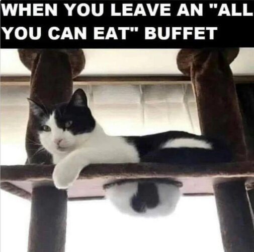 Ghghhhh.jpg