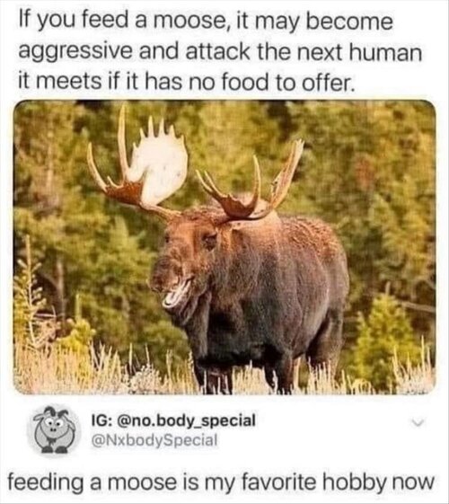 Gh5utjty.jpg