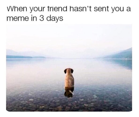 1708223722718.jpg