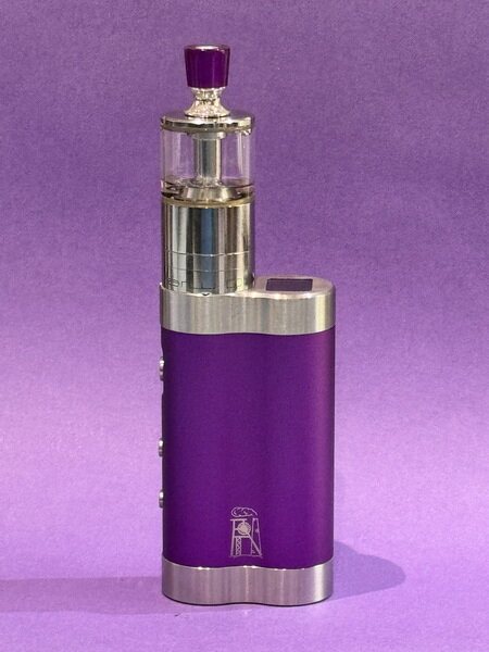 Dani Purple 21700.JPG