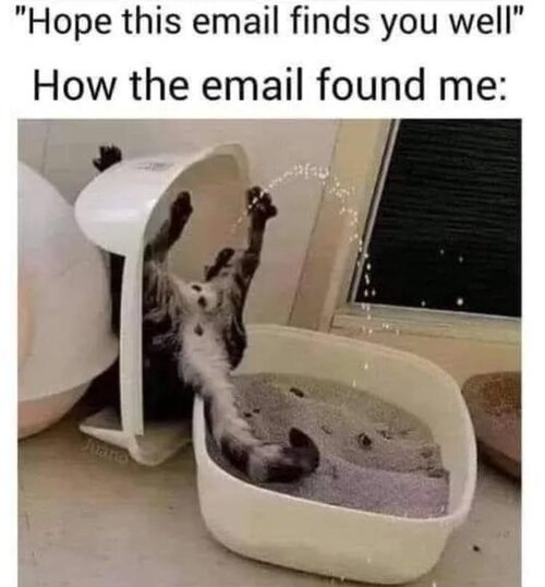 youre-wanting-the-email.jpg