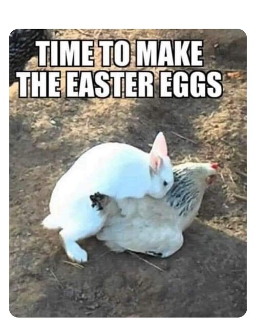 MrGSmokeFree Easter eggs.jpg