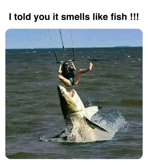 MrGSmokeFree Fish.jpg