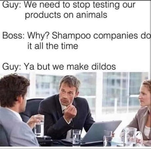 1717080346529.jpeg