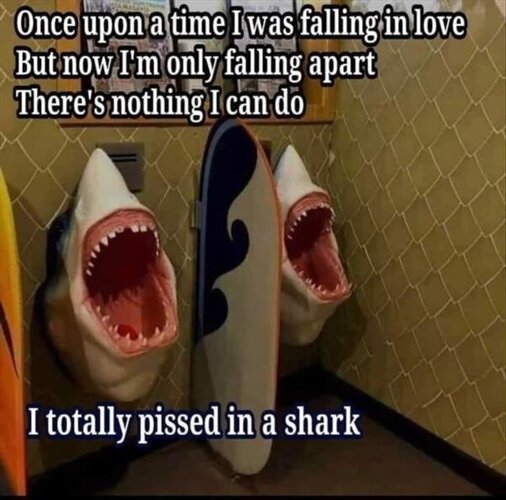 MrGSmokeFree Shark.jpeg
