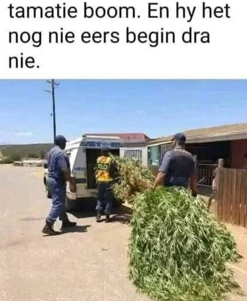 MrGSmokeFree_143644.jpg