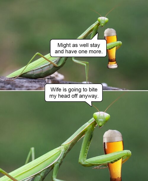 MrGSmokeFree ty5u67.jpg