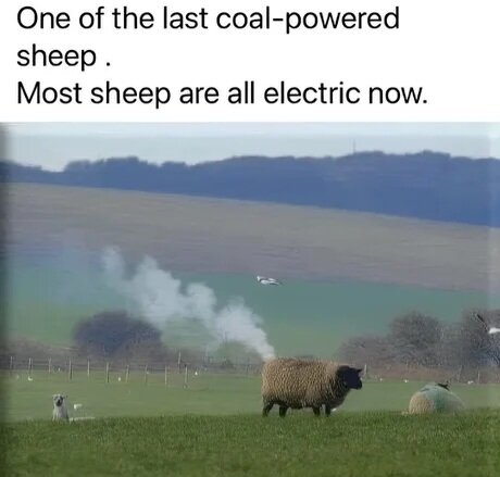 MrGSmokeFree20250203204731.jpg