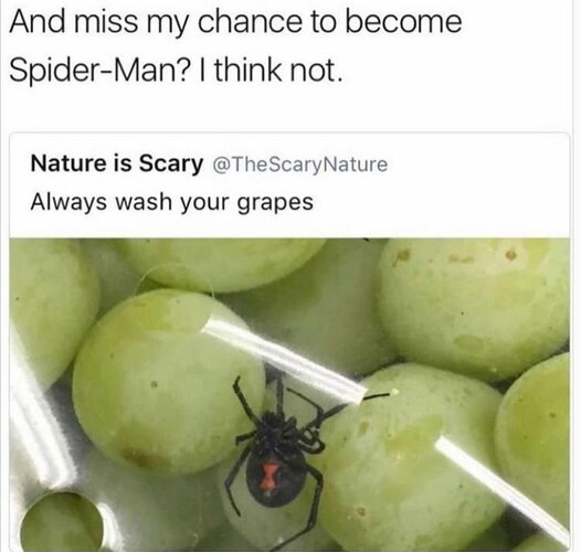 MrGSmokeFree2025020375503.jpg