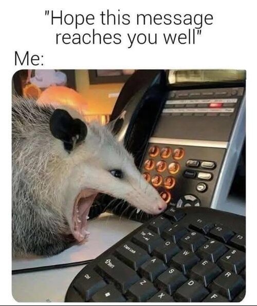 MrGSmokeFree1738481515466.jpeg