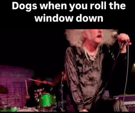 MrGSmokeFree woof.gif