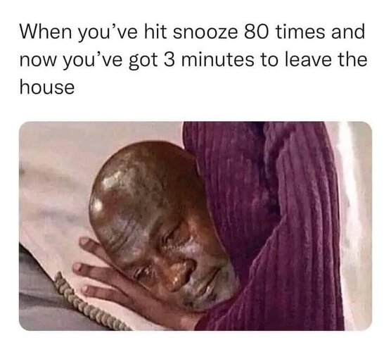 MrGSmokeFree1739867006459.jpg