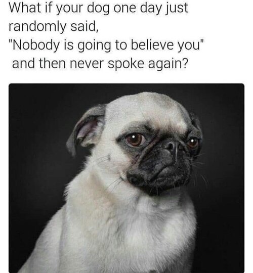 MrGSmokeFree1741071715584.jpg