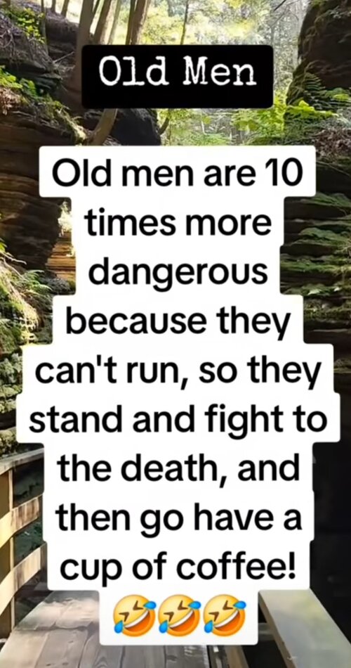 Screenshot_20250324_005853_Instagram.jpg