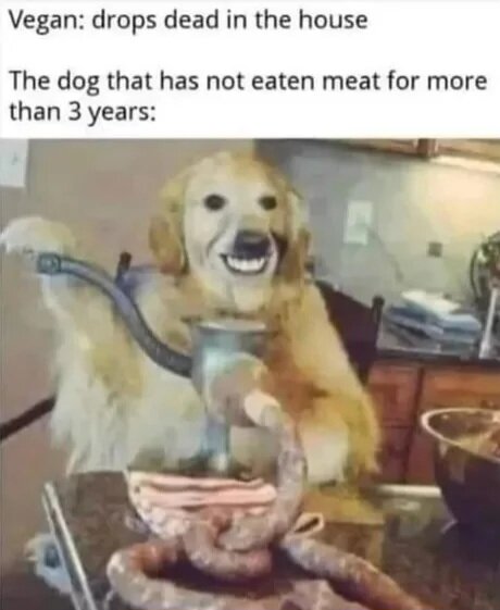 MrGSmokeFree183733.jpg