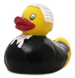 duck judge.jpg