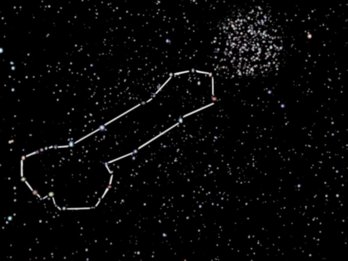 Penis_constellation.jpg