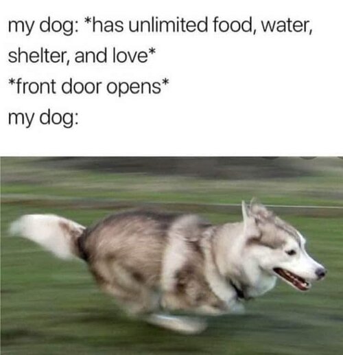 MrGSmokeFree459503402.jpeg