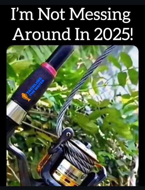 Screenshot_20250417_235017_Instagram.jpg