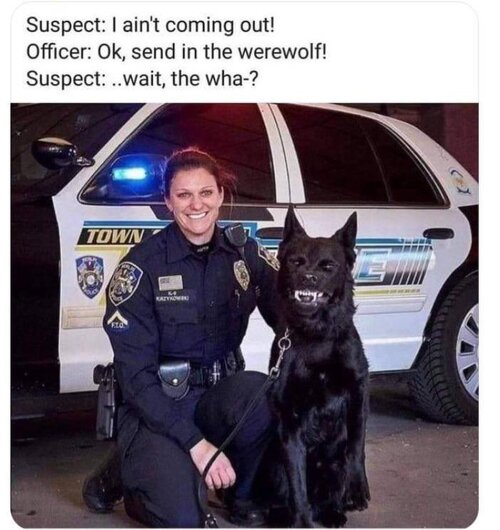 1743919362429.jpeg