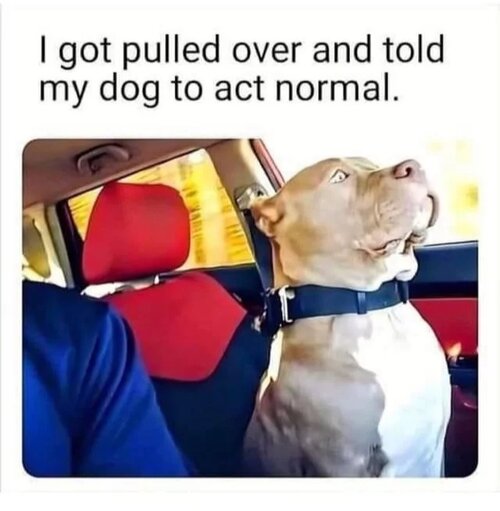 MrGSmokeFree184128.jpg