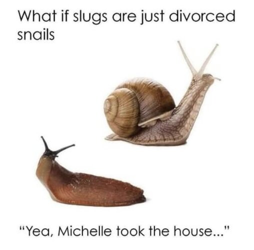 MrGSmokeFree1744821915757.jpg