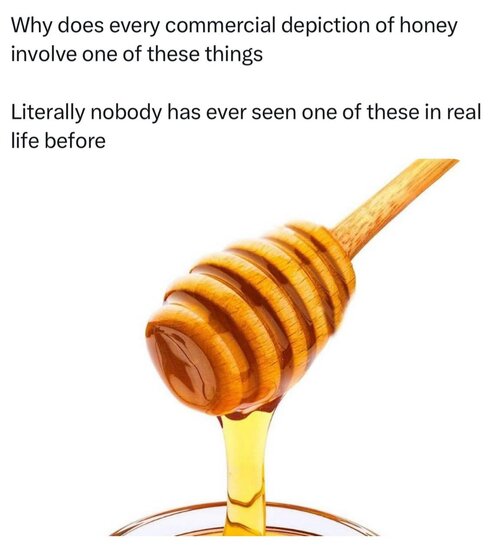 MrGSmokeFreeuuy0724.jpg