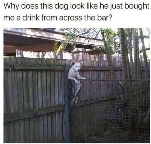 MrGSmokeFree4642.jpg