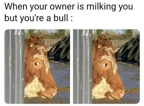 MrGSmokeFree3734.jpg