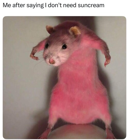 MrGSmokeFree193454.jpg