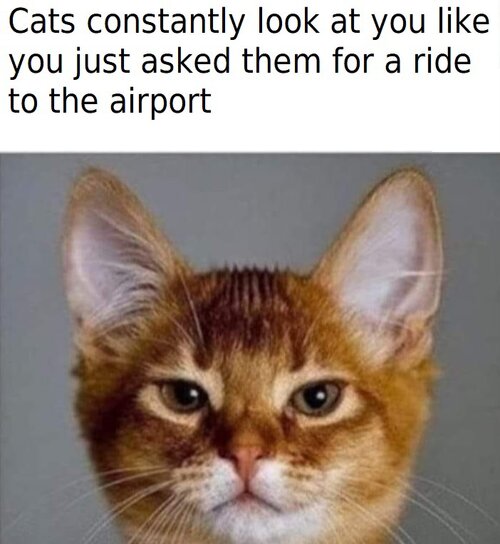 MrGSmokeFree528.jpg