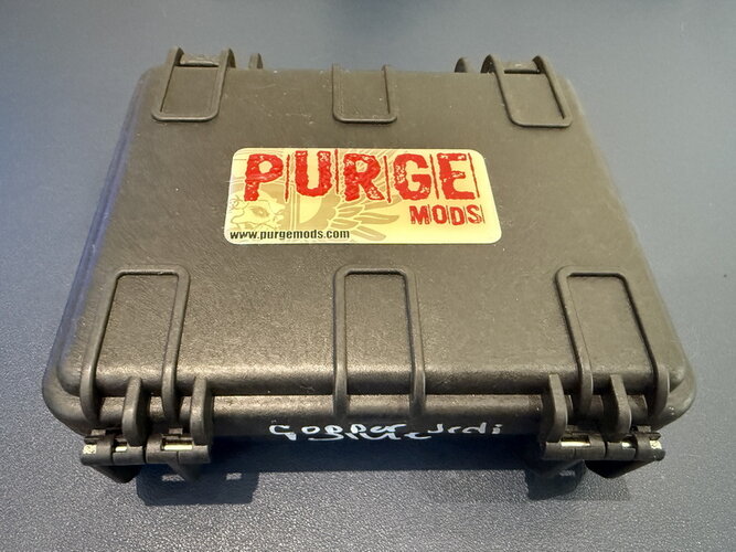 Purge Storm Trooper 1.jpg