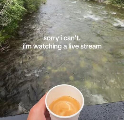 MrGSmokeFree vbgg75849.jpg