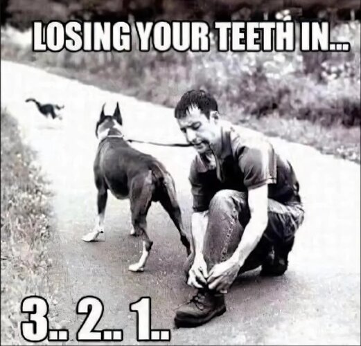 MrGSmokeFree332.jpg