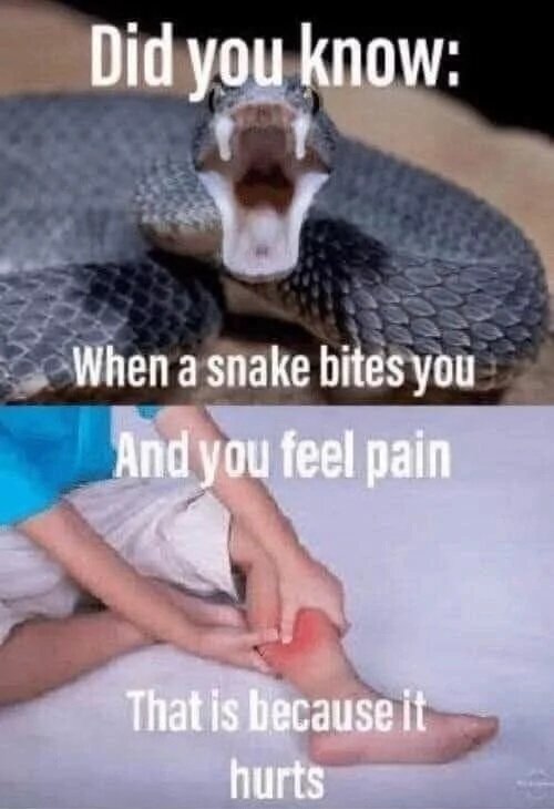 MrGSmokeFree3721.jpg